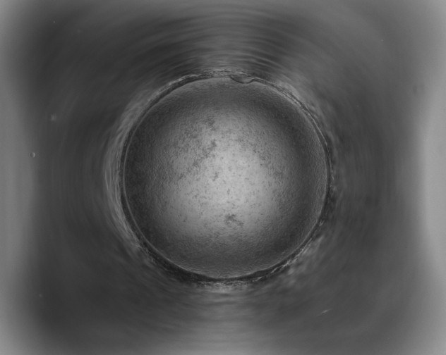 X0000090730241200707201414