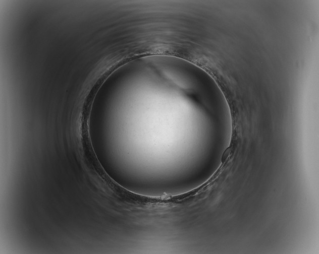 X0000090730242200707201414