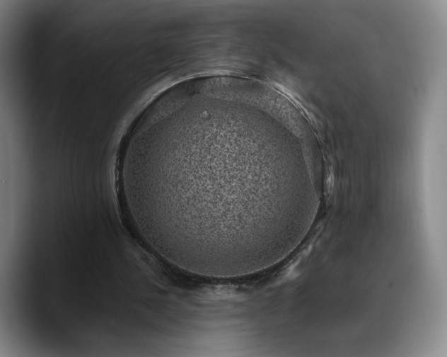 X0000090730244200707201414