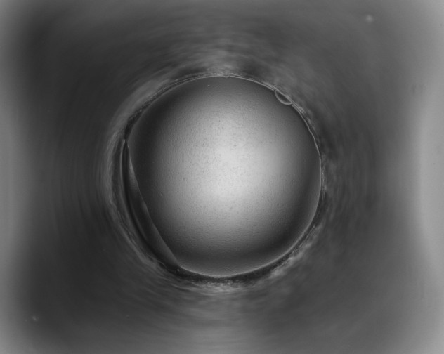 X0000090730245200707201414