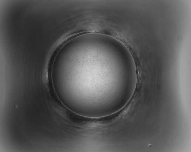 X0000090730246200707201414