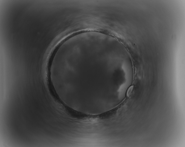 X0000090730247200707201414