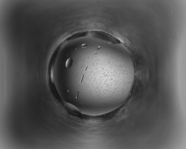 X0000090730248200707201414