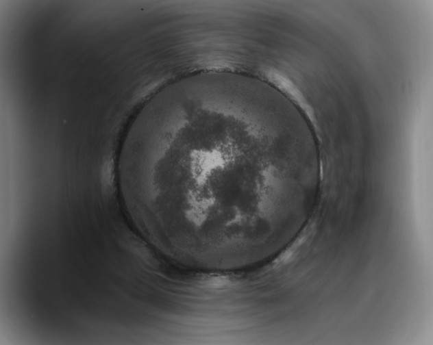 X0000090730249200707201414