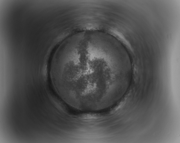 X0000090730250200707201414
