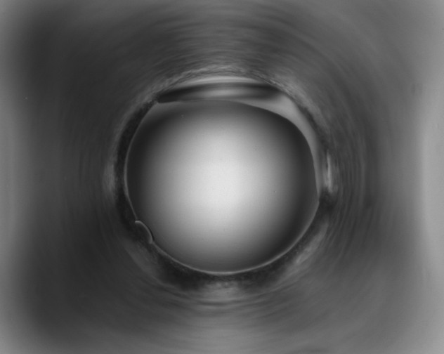 X0000090730252200707201414