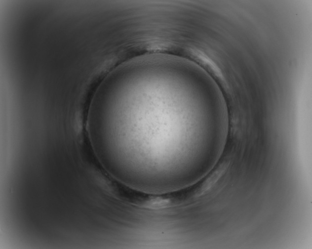 X0000090730257200707201414
