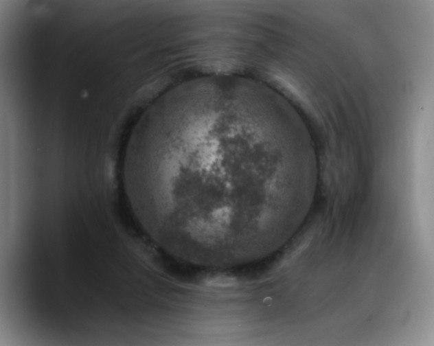 X0000090730258200707201414