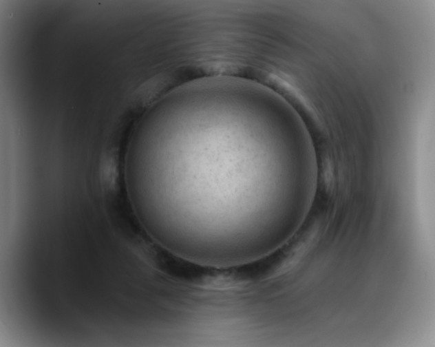 X0000090730259200707201414