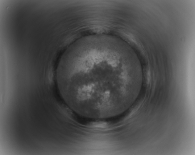 X0000090730266200707201415