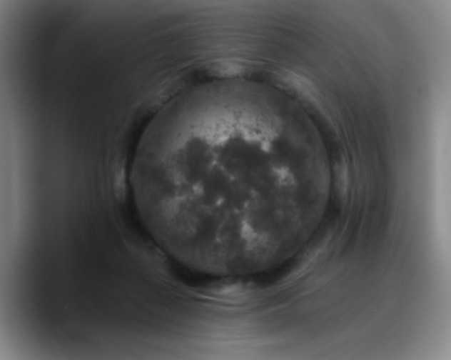 X0000090730267200707201415