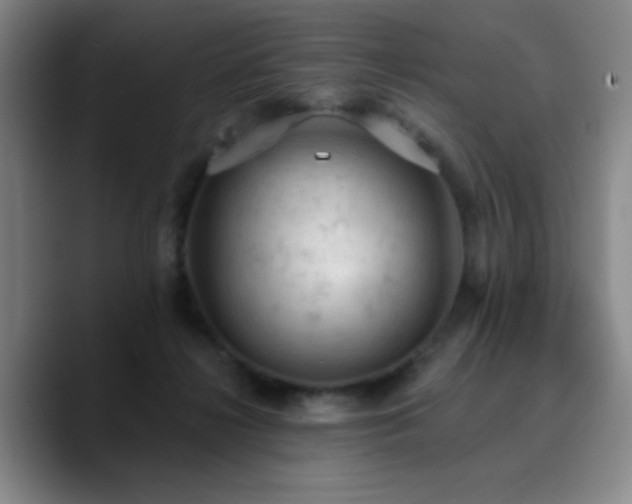 X0000090730268200707201415