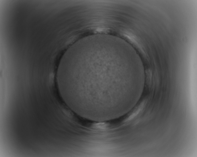 X0000090730269200707201415