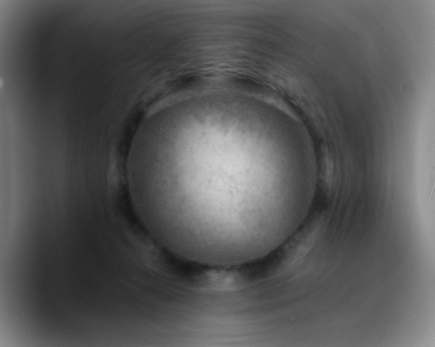 X0000090730272200707201415