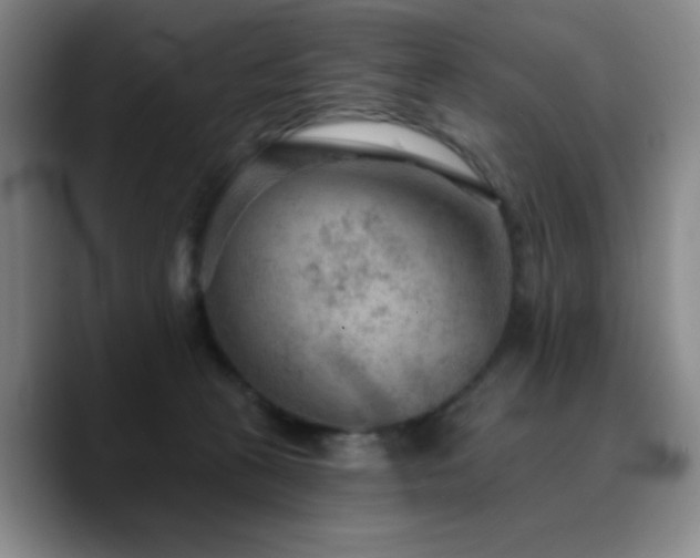 X0000090730273200707201415