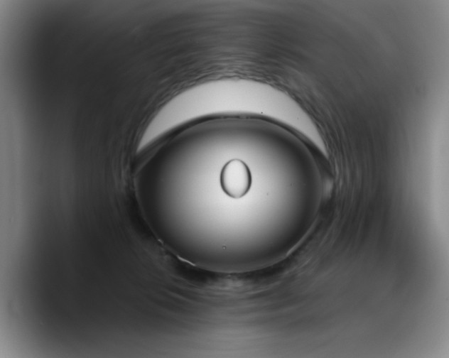 X0000090730276200707201415