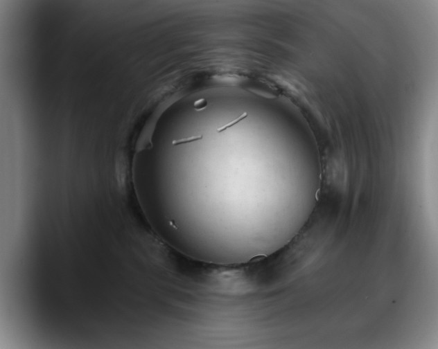 X0000090730283200707201415