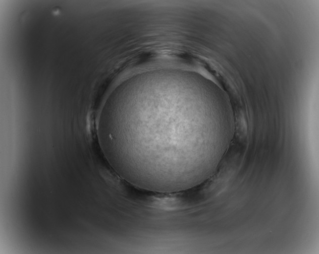 X0000090730284200707201415