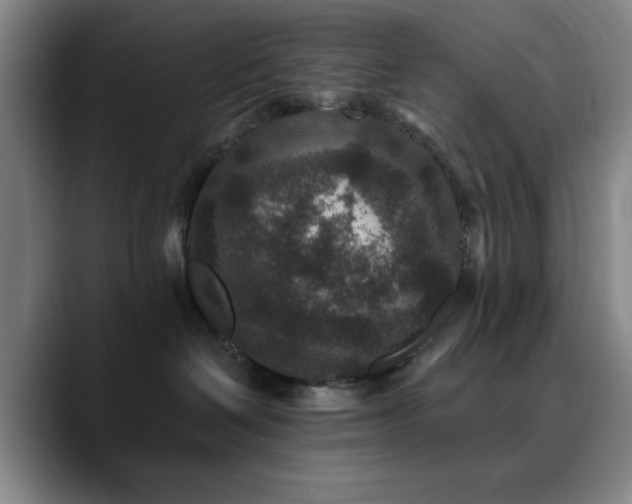 X0000090730286200707201415