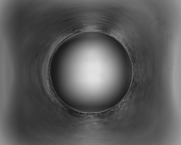 X0000090730289200707201414