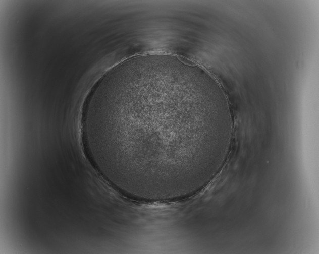 X0000090730290200707201414