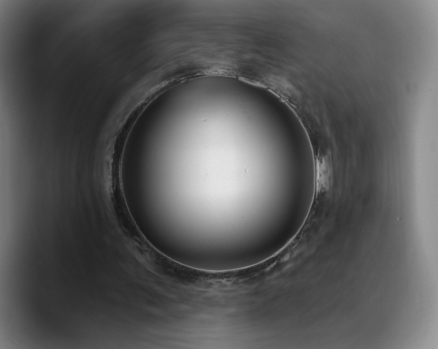 X0000090730291200707201414