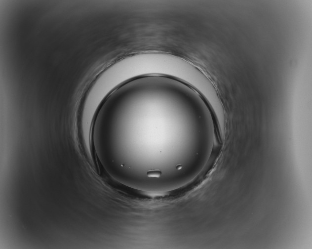 X0000090730293200707201414