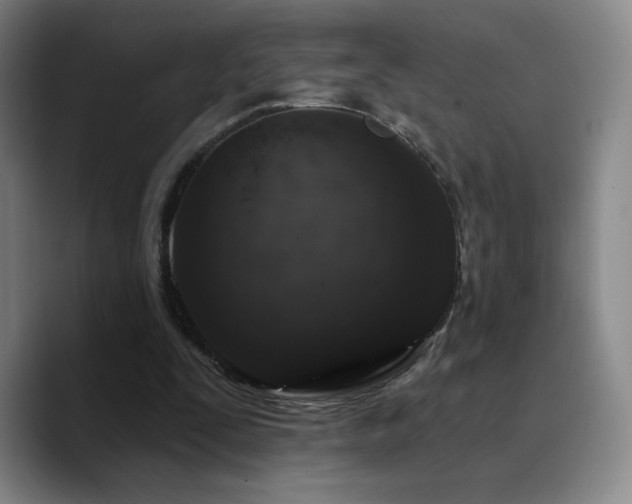 X0000090730295200707201414