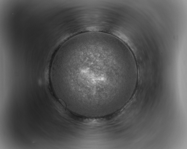 X0000090730297200707201414