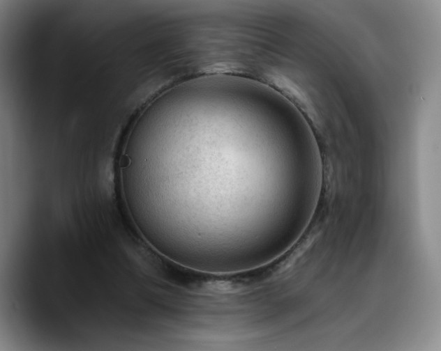X0000090730298200707201414