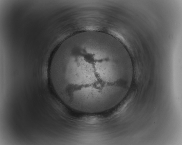 X0000090730299200707201414