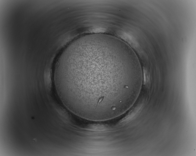 X0000090730300200707201414