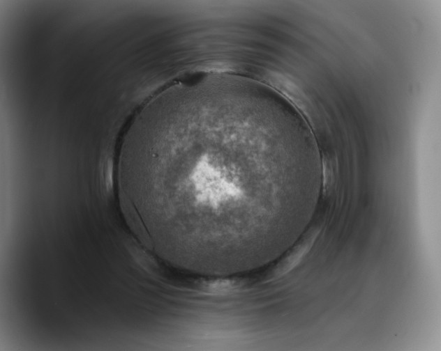 X0000090730301200707201414