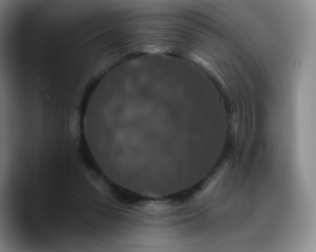 X0000090730303200707201414
