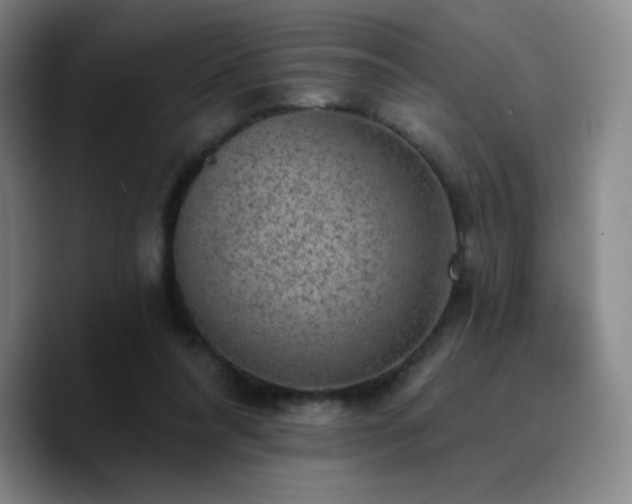 X0000090730304200707201414