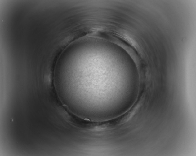 X0000090730305200707201414