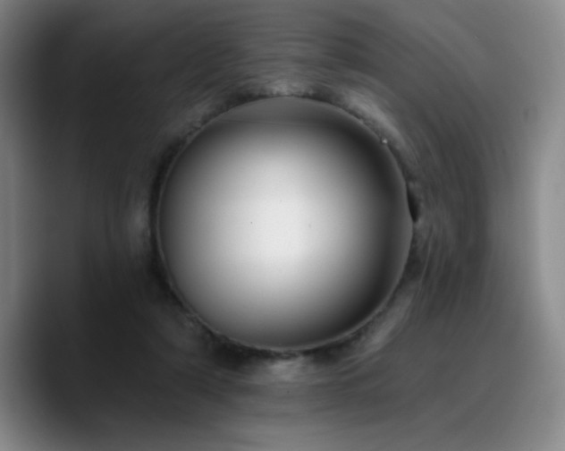 X0000090730306200707201414