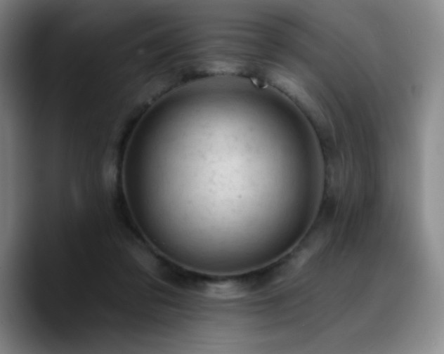 X0000090730309200707201414