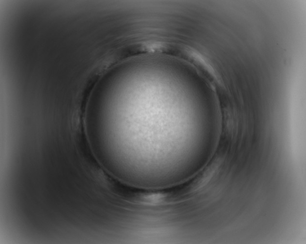 X0000090730313200707201414
