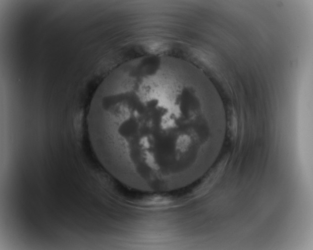 X0000090730319200707201414