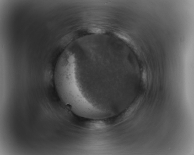 X0000090730322200707201414