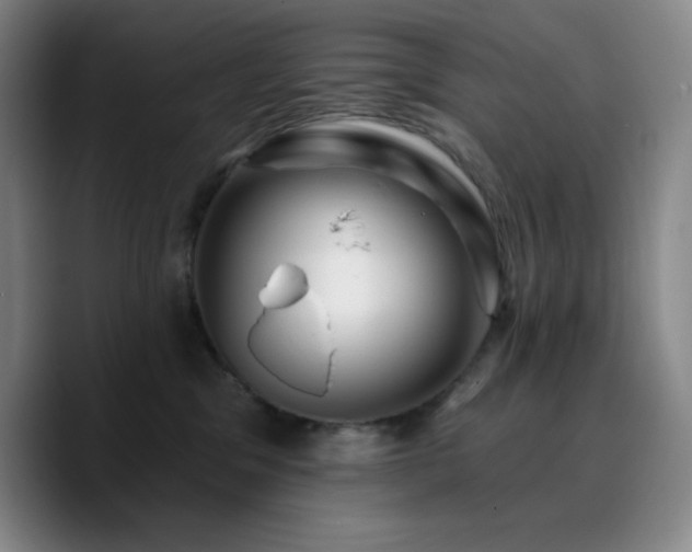X0000090730329200707201414