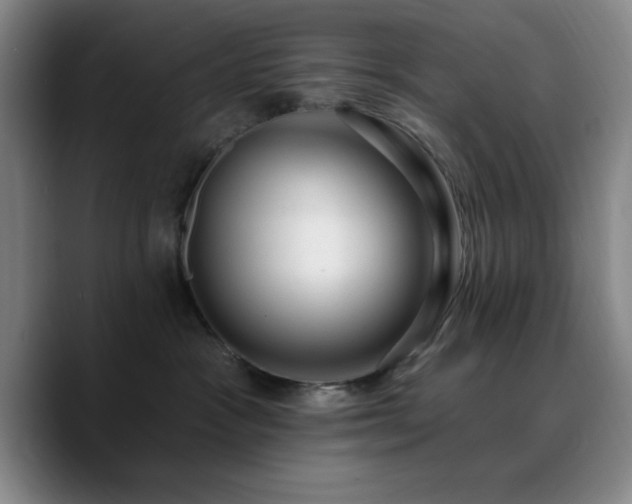 X0000090730333200707201414
