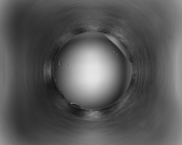 X0000090730334200707201414