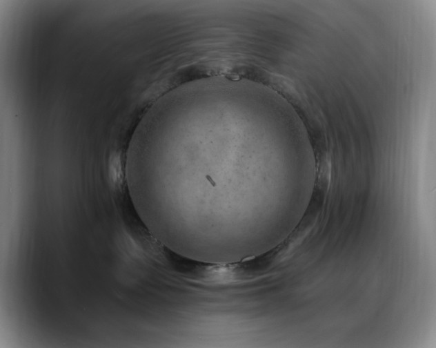 X0000090730335200707201414