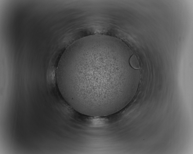 X0000090730336200707201414