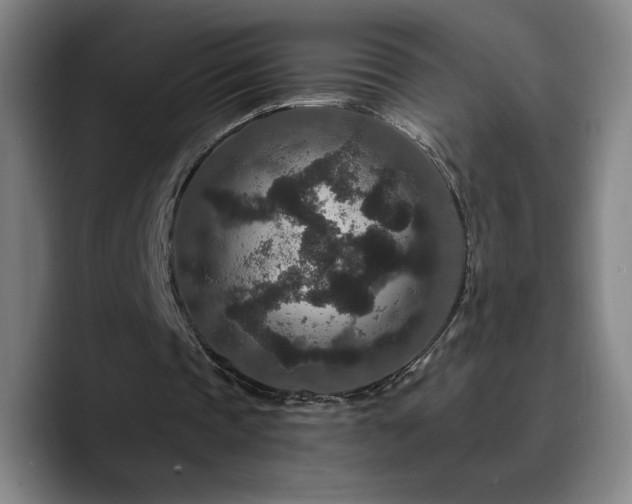 X0000090730337200707201413
