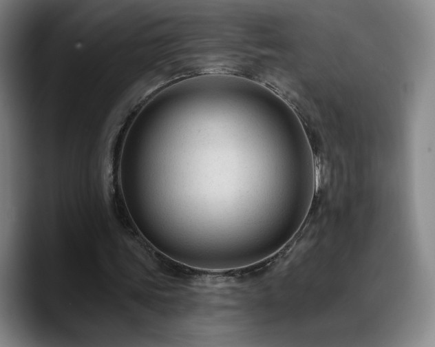 X0000090730339200707201413