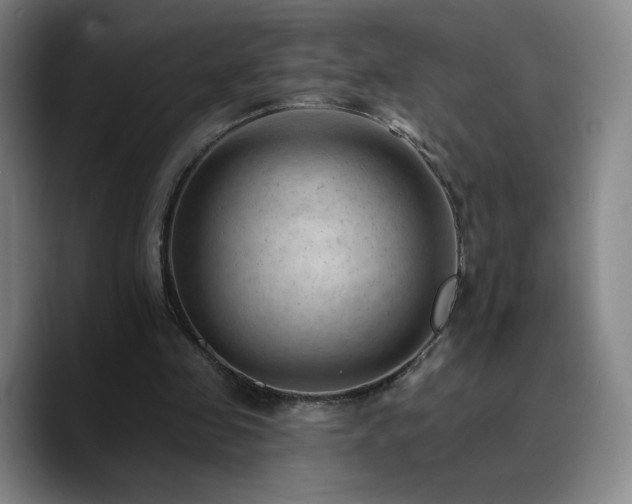 X0000090730341200707201413