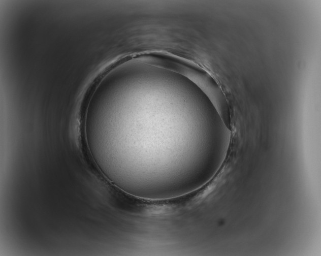X0000090730342200707201413